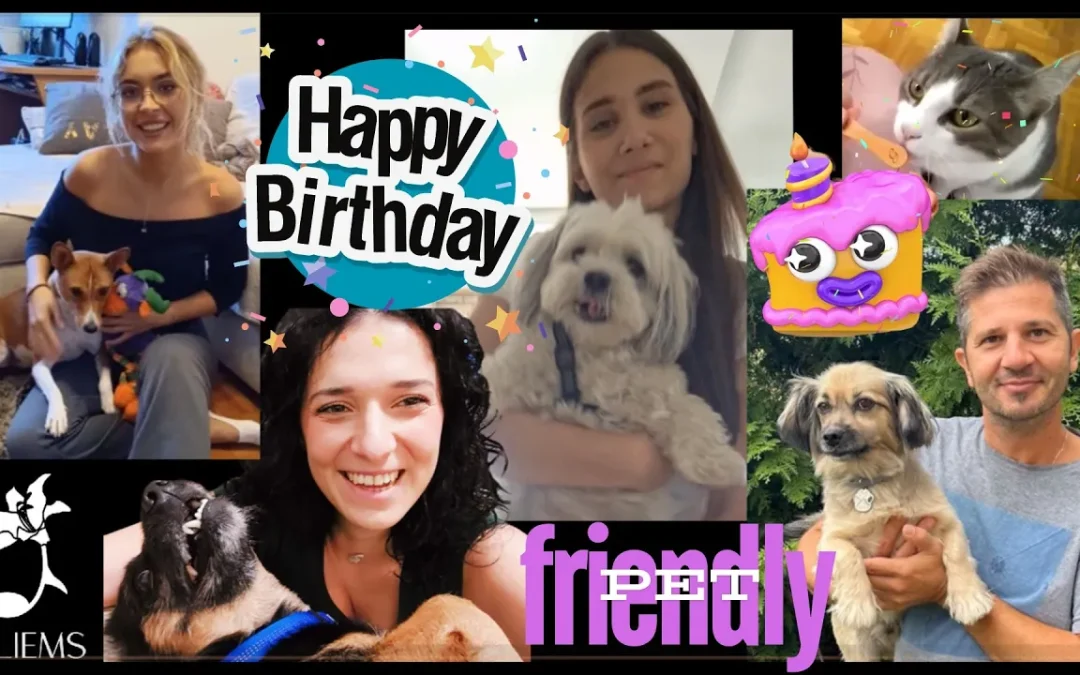 GLAZBA JE VRIJEDNOST VI&Scaron;E KOJA POVEZUJE