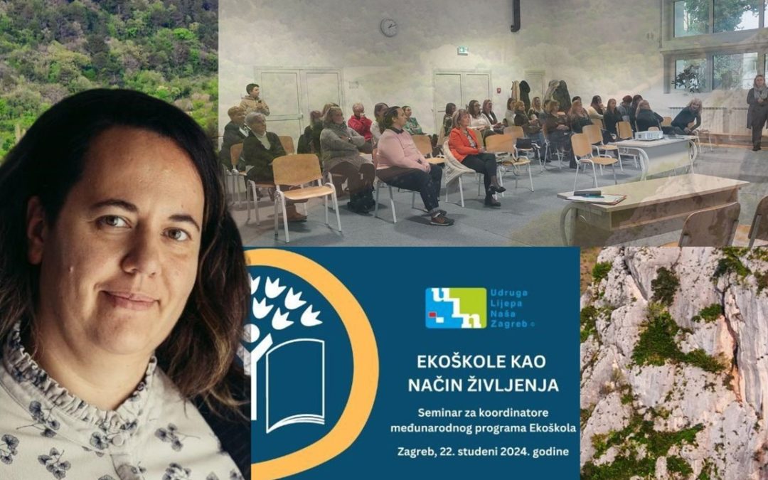 NIZ KORAKA I AKTIVNOSTI PREMA ZELENOM RAZMI&Scaron;LJANJU