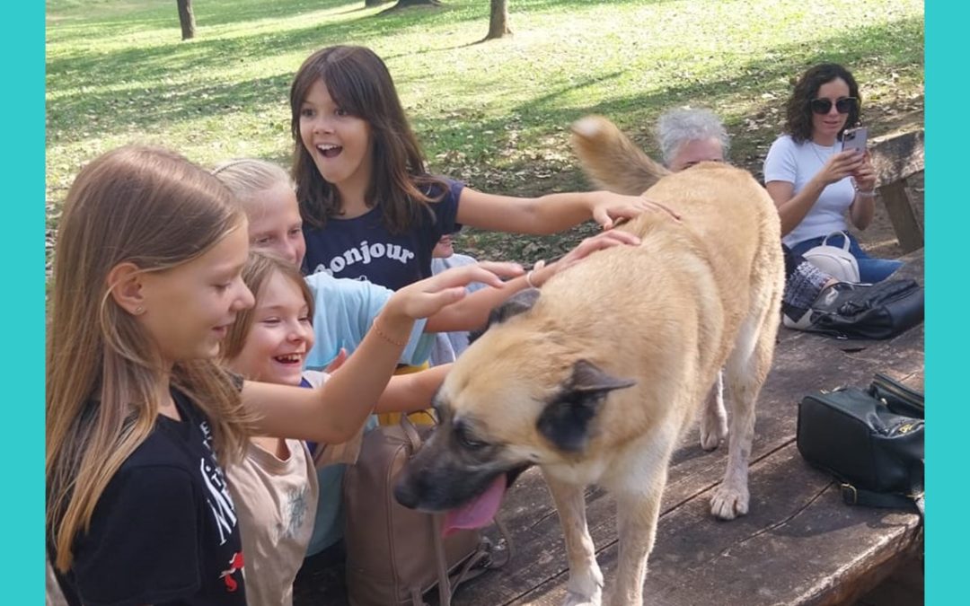 DAN BEZ AUTOMOBILA I DAN PJE&Scaron;AČENJA
